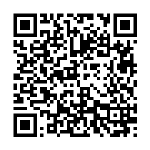 一下子就从城头跳到了二十多米高的城门的顶楼上二维码生成