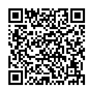 一下子就把最靠近他们的四个家丁的手臂齐肩给劈了下来二维码生成