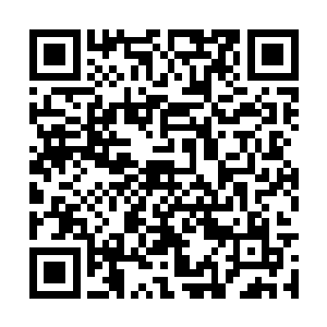 一下子就看出这个女人实在蠢笨又白痴的无可救药二维码生成