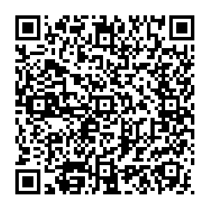 一下子就看到了里面的一个自己没有经历过的情节――书中的主角张铁在杂货店打工出来要回家的时候二维码生成