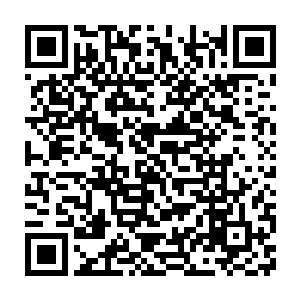 一下子就让仙主感知到燕山魂如今的修为已经达到了圣级八层中期巅峰二维码生成