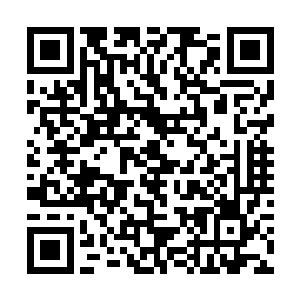 一下子把他的那根食指插入到地上一具尸体的脑袋上二维码生成