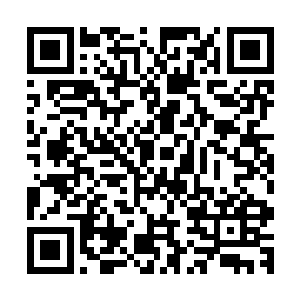 一下子见到如此多的天才地宝龙傲天的心中也是难免有些激动二维码生成