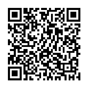 一下子让出租车里的两个人都轻轻地笑出了声别人不好说二维码生成