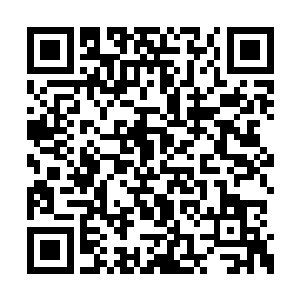 一下子采购了那么多刁钻材料和残破法宝的买家二维码生成