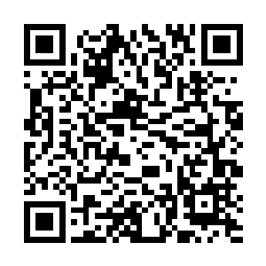 一不小心他的弟子之中未来诞生几个野心家或疯子的话二维码生成