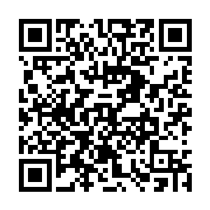 一不小心就看到了张仪伊粉色短裙里面的裙内风光二维码生成