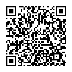 一丝丝杂乱的暗金色力量经过了吞噬之力的转化之后变为了最为纯粹的金色二维码生成