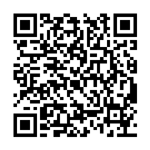 一丝丝浓郁的虚无之力正在侵蚀着这座奇异的山脉二维码生成