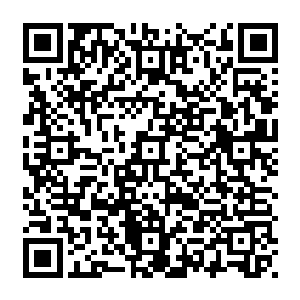 一丝丝的淡金色的雾气就从自己含在口中的那颗宝石一样的光辉之果中散逸了出来二维码生成