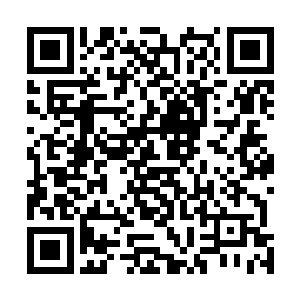 一丝丝若有若无的龙吟声在林烽的筋脉之中不断的游走着二维码生成