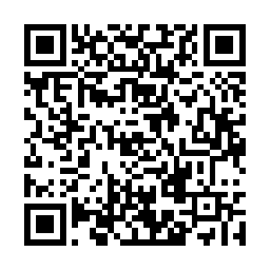 一丝天地浩然之力顺着老人的脉搏和血管开始探查二维码生成