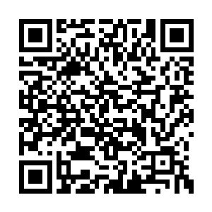 一丝若有若无的虚无之力在许紫烟的元神内隐现二维码生成