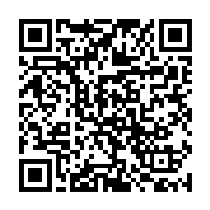 一个一招不出就能把一个十级强战士变成残废的高手二维码生成