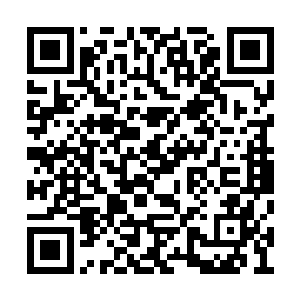 一个一直在竞价的灰衣老者脸色有些阴沉的报价二维码生成