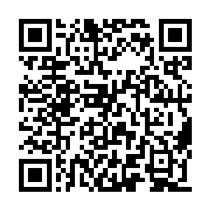 一个一身白衣的青年望着手中的玉符之中的信息二维码生成