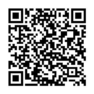 一个七境暗杀者也不是一个一境仙医能够抗衡的二维码生成