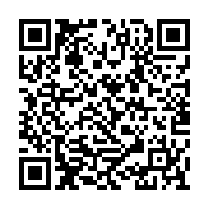 一个下位墨族甚至可以对一个七品墨徒拳打脚踢二维码生成