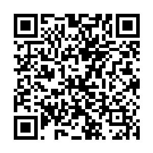 一个专精占卜术巫师负责测试马文的回答是否存在谎言二维码生成