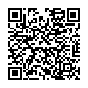 一个东来洞的奏表抵了整个镇海山各洞洞主送来的奏表二维码生成