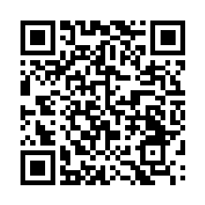 一个个元极境神凝境剑者纷纷御空飞行而起二维码生成