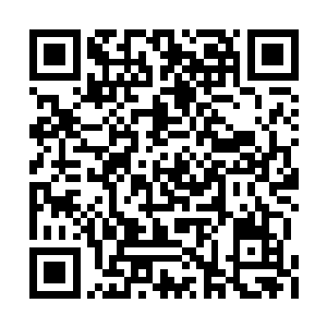 一个个全都一副如临大敌的样子看着我和龙观在二维码生成