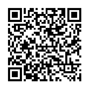 一个个可以把大海当做自家的游泳池一样的那些人二维码生成