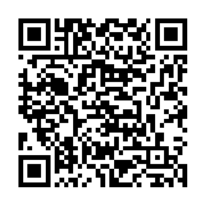 一个个小石子被她精准的踢到了数米远的一个耗子洞里二维码生成