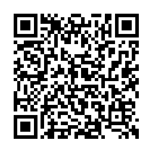 一个个必杀技让他觉得自己现在就是李小龙在世二维码生成