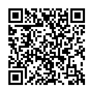 一个个念头不由自主地在她脑海中飞快地闪过去二维码生成