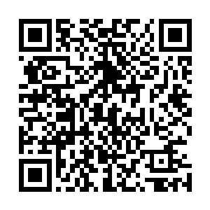 一个个把手放在了密室之中那墙壁上的一块不起眼的石砖上二维码生成