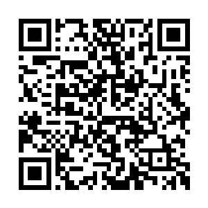 一个个披头散发身上的衣服都没有一件事完好的二维码生成