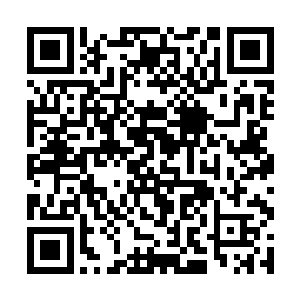 一个个抬头看着那巨大的如同磨盘一般旋转的元气云二维码生成