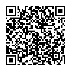 一个个抬着头看着天空中飞机的地上的空骑兵和邢向天一个个就慢慢长大了嘴巴二维码生成