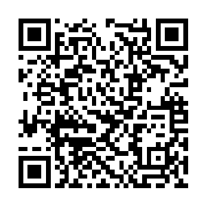 一个个无声的怒视着就在他们面前不远处的赵长枪二维码生成