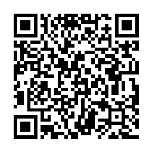一个个暗暗惊叹一个大地骑士也有如此雅兴和爱心的时候二维码生成