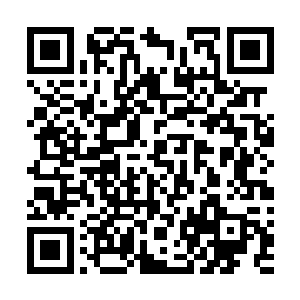 一个个望向面前的玉符之中都露出了一抹无比炽热的光芒二维码生成