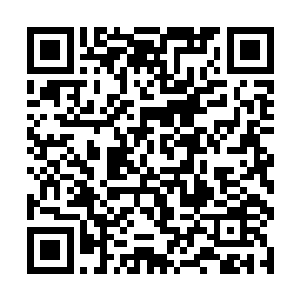 一个个望向龙傲天的目光之中仿佛在看一个怪物一般二维码生成