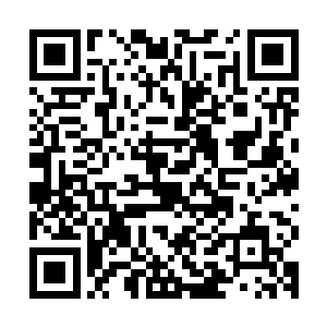 一个个灰溜溜的沿着悬梯跑上了甲板开始忙活着剩下的三组蟹笼二维码生成