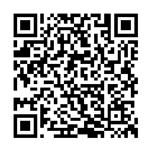 一个个用难以置信的眼光看着怀远堂的穆雨长老二维码生成