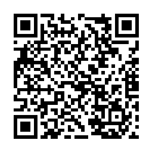 一个个的全部都带着几分戏谑看向了一三一号包厢二维码生成