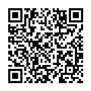 一个个的脑袋还是好想不怕死一样地从围栏后探出来二维码生成
