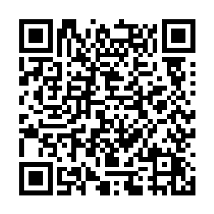 一个个目光之中除了对他有那么一丝丝的嫉妒之外二维码生成