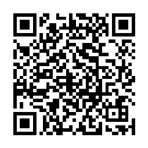 一个个目光敬畏地望向了此时已经在空中现身的许紫烟二维码生成
