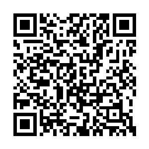 一个个看着苏凡简直不敢相信苏凡竟然敢先动手二维码生成