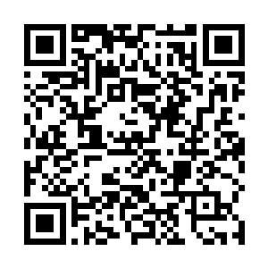 一个个眼神诡异的公平党人似乎在这里等待着兜售东西二维码生成