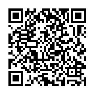 一个个竞选的姑娘们向托娅投去了羡慕嫉妒恨的眼神二维码生成