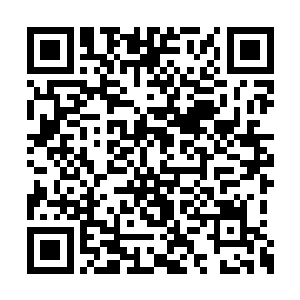 一个个蕴含着精纯神力的能量球被凝结在了一起二维码生成