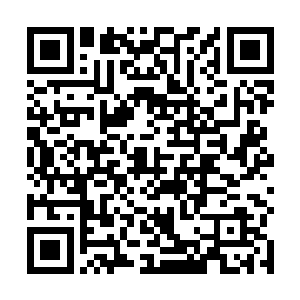 一个个让人眼前一亮的妍丽少女端着小案几并餐盘上来二维码生成