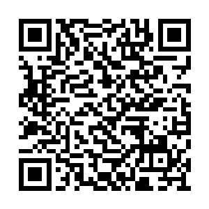 一个个许家弟子从空中向着地面狠狠地摔落下去二维码生成